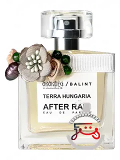 آفتر رین بالینت پرفیومز | after rain balint parfums
