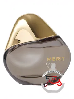 رتراسپکت مریت | retrospect merit