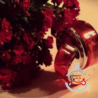 Omnia Coral Bvlgari