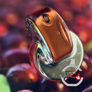 Omnia Coral Bvlgari