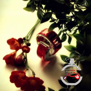 Omnia Coral Bvlgari