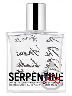 سـرپنـتین کم د گارسـن | serpentine comme des garcons