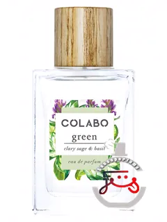 گرین کلری سیج اند بازیل کولابو | green clary sage & basil colabo
