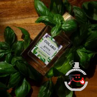 Green Clary Sage & Basil COLABO
