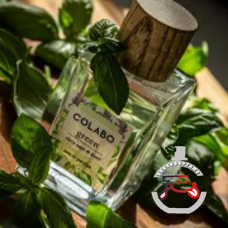 Green Clary Sage & Basil COLABO