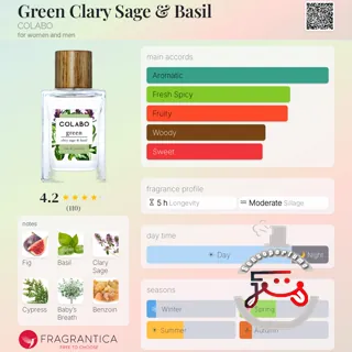 Green Clary Sage & Basil COLABO