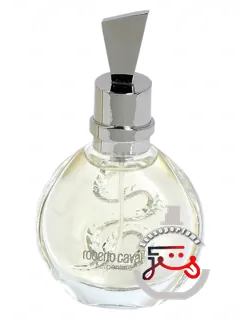 سربنتاین سیلور رابرتو کاوالی | serpentine silver roberto cavalli