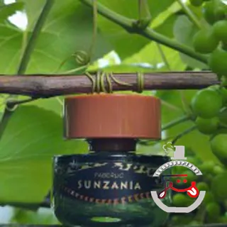 Sunzania Faberlic