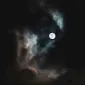 Midnight Lady