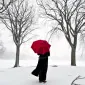 NoirMemoir