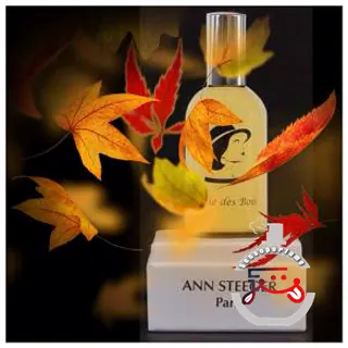 Folie des Bois Ann Steeger