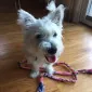 Littlesweetie