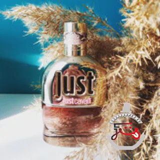 Just Cavalli Roberto Cavalli