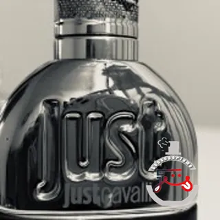 Just Cavalli Roberto Cavalli