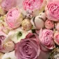 سارا وایت واترلیلی هشتاد نه