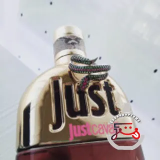 Just Cavalli Roberto Cavalli