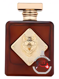 آلفا فرگرنس ورلد | alpha fragrance world