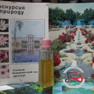 Аше Сувенир (Краснодар)