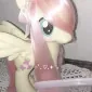 calicoo333
