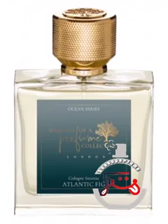 آتلانتیک فیگ؛ خاطرات یک کلکسیونر عطر | atlantic fig memoirs of a perfume collector