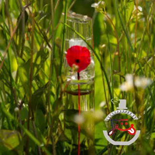 Flower by Kenzo Poppy Bouquet Eau de Parfum Kenzo