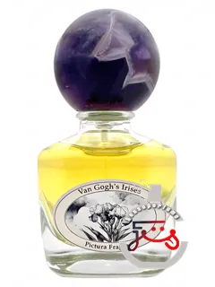 وان گوگ ایریسز پیکتورا فراگرانز | van gogh’s irises pictura fragrans