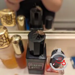 Lust Lush