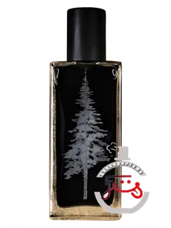 مینت کاکائو پاین‌وارد پرفیومز | mint cocoa pineward perfumes