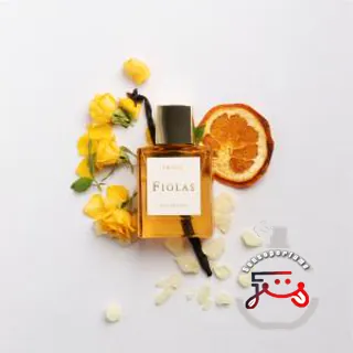 Erato Fiolas