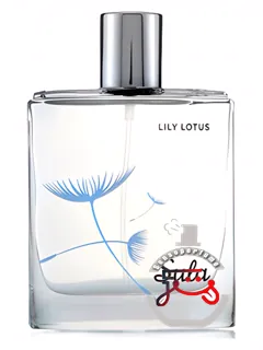 سولا لیلی لاتوس سوزان لانگ | sula lily lotus susanne lang