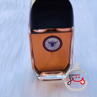Wild Country Avon