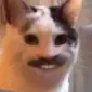 unklemoses