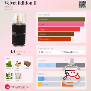 Velvet Edition II Bershka