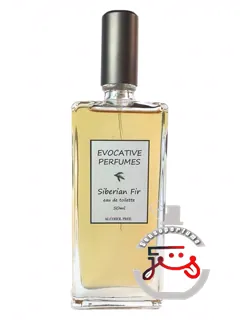 سیبرین فیر اووکیتو پرفیومز | siberian fir evocative perfumes