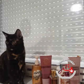 Wild Madagascar Vanilla Bath & Body Works