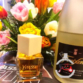 La Collection Yvresse Yves Saint Laurent