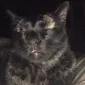 binkyluvr