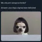 Jackween
