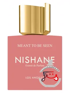منت تو بی سین نیشانه | meant to be seen nishane
