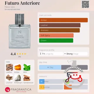 Futuro Anteriore Neos 1911