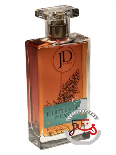 ژولیت دوبوآ در کان، ژوئیه سن بارتلمی | juliette dubois in cannes july st barthelemy