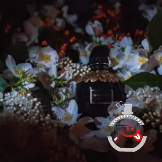 McQueen Parfum Alexander McQueen