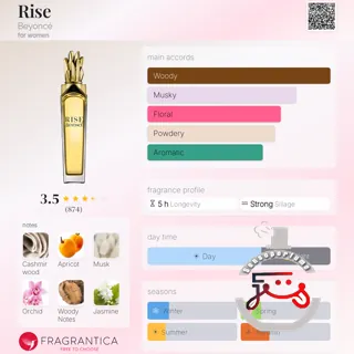 Rise Beyoncé