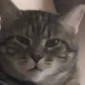 katemarth