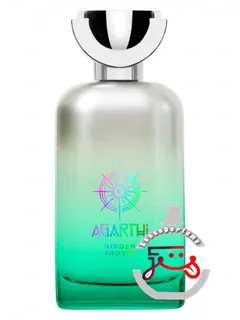 هیدن شورز آگارتی | hidden shores agarthi