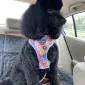 Stormi77