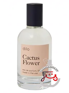 کاکتوس فلاور دیلو | cactus flower dilo