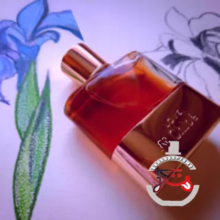 Love Eau Intense Chloé