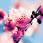 ری‌لَکس‌یکس