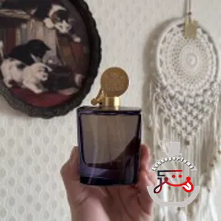 Oeillet Bengale Aedes de Venustas
